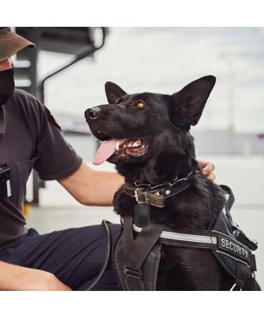 12Pcs Military Dog Tag Silicone Rubber ID Tags - Black Rectangular Covers for Pets - Buy Online on GoSupps.com