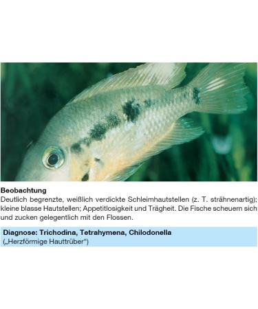 Sera Med Professional Protazole 100 ml - Effective Treatment for Fish Skin Parasites | Aquarium Medicine - Buy Online on GoSupps.com