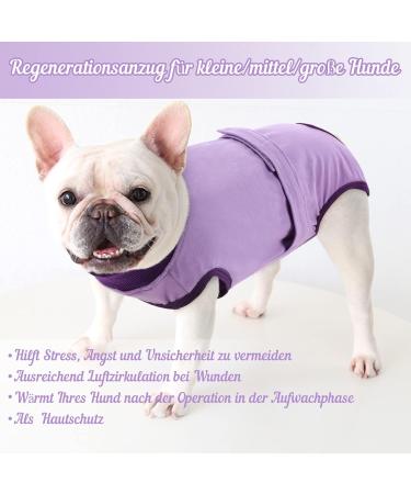 Convinite Recovery Suit for Dogs - Breathable Wound Protection for Male & Female Dogs After Castration - Lilac M - Alternative to Cone for Comfort - Buy Online on GoSupps.com