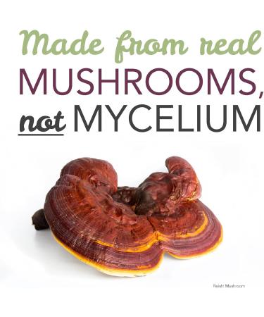 St. Francis Herb Farm Reishi Mushroom Capsules | 100% Pure | High Potency | Immune Booster | Adaptogen | Fruiting Body | High in Beta Glucans | 60 Vegicaps - Buy Online on GoSupps.com