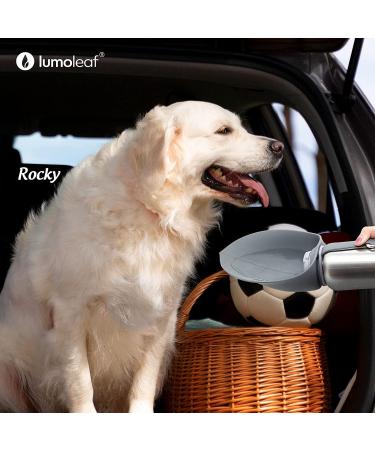 Leak-Proof LumoLeaf 35oz Dog Water Bowl | No-Spill Slow Feeder for Pets - Buy Online on GoSupps.com