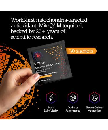 MitoQ Longevity Cellular Water Daily Powdered Drink Mix Natural Orange Flavor - Mitochondria-targeted Antioxidant - Cell Energy and Metabolism for Better Aging (Orange 30 Packets) - Buy Online on GoSupps.com