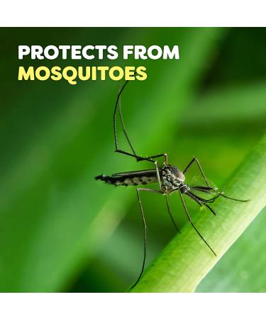 OFF! FamilyCare Insect & Mosquito Repellent Spritz - Unscented Bug Spray 9 oz with Aloe-Vera - Buy Online on GoSupps.com