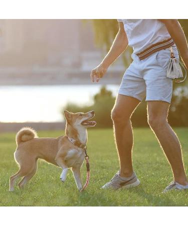 Dawris Dog Treat Bag - Ideal Food Storage for Training Clip Buckle Design & Durable Lining | Shop Internationally - Buy Online on GoSupps.com