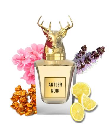 Antler Noir - Signature Perfume for Men with Oriental Citrus Scent | Alcohol Free & Long Lasting Arabian Perfume for Men 3.4 Fl. Oz.