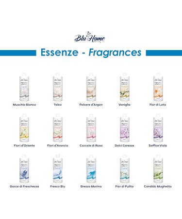 BLU HOME Laundry Perfume Concentrated - Blue Fern 500 ml | Premium Freshness for Your Laundry - Ships Internationally - Buy Online on GoSupps.com