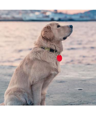 72-Pack Pet Metal Name Shields Round Square & Heart Pendants for Dogs & Cats | Custom Name Tags - Buy Online on GoSupps.com