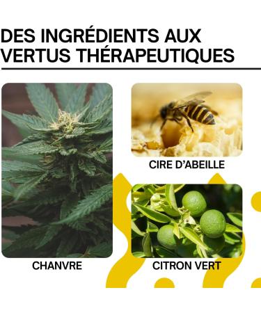 Baume L vres Chanvre - Stick Levres Hydratant l'Huile de Chanvre + Gout Citron - Soins pour les L vres Gerc es - Hydrate R pare et Apaise - Formule Ingr dients Naturels - Buy Online on GoSupps.com