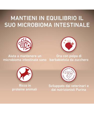 Purina One Medium/Maxi 10 kg Dog Food 4 Bags of 2.5 kg each - Buy Online on GoSupps.com