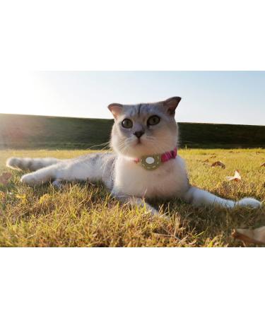 WHALEZON Airtag Cat/Dog Collar Holder - Anti-Lost Pet Tracker Case - Mint Green/Pink - Compatible with Apple Air Tag - Fits Puppy Collars 3/8 and 5/8 - Buy Online on GoSupps.com