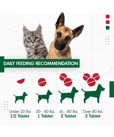 Cranberry D-Mannose for Dogs and Cats | UTI & Bladder Support | Kidney Health | Antioxidant | 60 Tablets - Buy Online on GoSupps.com