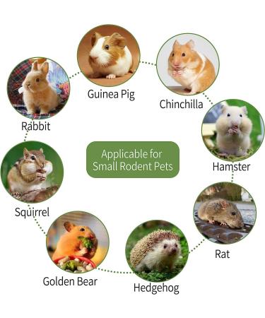 Petawi Rabbit Chew Toys 42PCS Natural Timothy Hay Sticks Bunny Toys for Rabbit Hamster Guinea Pig Chew Toys Treats Chews for Teeth for Bunny Chinchilla Rat Gerbil Small Animals - Buy Online on GoSupps.com