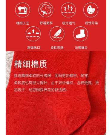 Chinese New Year Men's Red Embroidered Sports & Zodiac Socks - 4 Pairs - Spring Festival Gift - Size 39-44 Red-6 - Buy Online on GoSupps.com