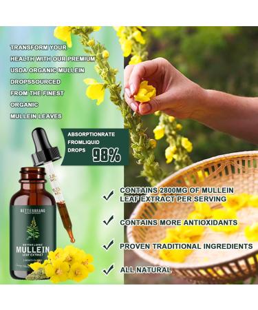 Mullein Leaf Extract for Lungs Mullein Drops Medlife Mullein Extract with Premium Mullein Leaf Extract Alcohol-Free Health Supplement Drops for Fast Absorption - Buy Online on GoSupps.com