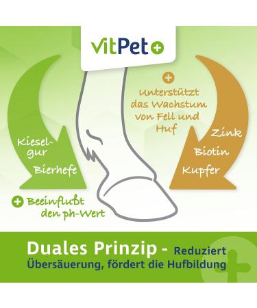Vitpet+ Huf Probio - Special Mineral Feed for Horses with Biotin & Zinc - 4kg for Healthy Hoof Growth Includes Dosing Spoon - Buy Online on GoSupps.com