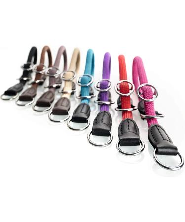 HUNTER Freestyle Dressage Dog Collar - Robust Weatherproof XS-S Beige - Ideal for International Shipping - Buy Online on GoSupps.com