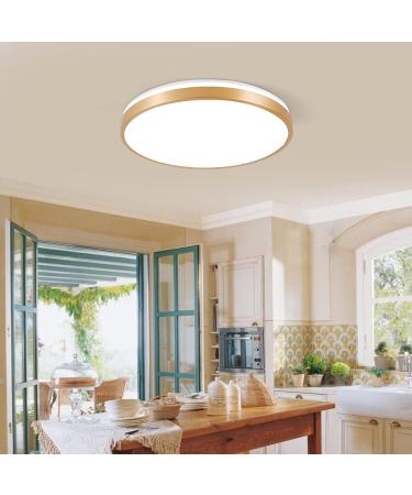 Horevo 30cm Bluetooth Ceiling Lamp - Dimmable & Color-Changing Remote Control 24W Champagne Gold Light & Speaker for Kids Room and Bedroom - Buy Online on GoSupps.com