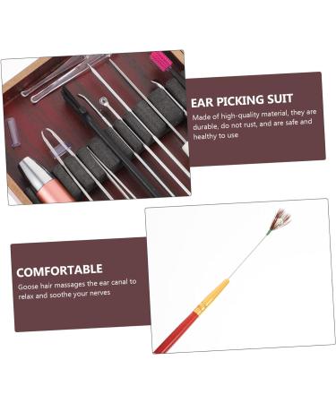 Healeved 1 Set Ear Picking Set Baby Sets Household Tools Ear Cleaning Tool Earwax Cleaning Tools Earwax Removal Kit Ear Cleaner Spoon Ear Picks for Home Earwax Cleaning Kit Ear Cleaner Kit - Buy Online on GoSupps.com