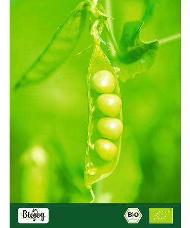 Biojoy Organic Pea Protein Powder (2 kg) without additives - Buy Online on GoSupps.com