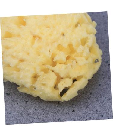 Healeved Mineral Bath Sponge | Natural Facial & Shower Scrubber | Bulk Honeycomb Bath Wipe for Optimal Skin Care - Buy Online on GoSupps.com