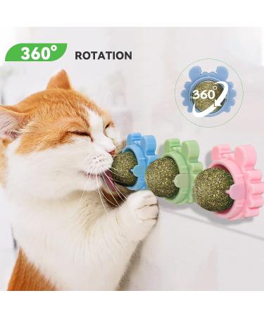 AUCENIX 3-Piece Catnip Balls Toy Set | Dental Chew & Cat Mint Wall Rollers | Edible Kitten Toys in Green Blue & Pink - Buy Online on GoSupps.com