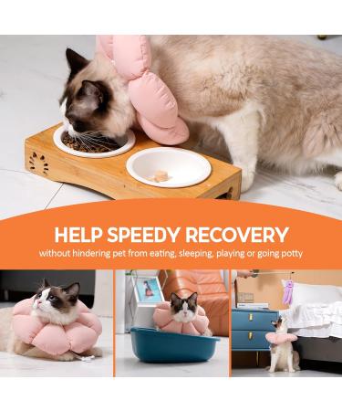 Avont Rewrise Cat Adjustable Soft Neck Collar - Protective Leak Collar for Small Dogs After Surgery - Pink Rose Large - International Shipping Available - Buy Online on GoSupps.com