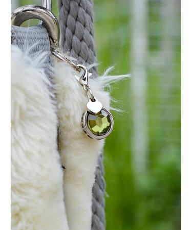 Soulhorse Bridles & Lucky Charms | Keychains & Charms for Horses | Unique Gifts for Pony Lovers - Lucky Stone Collection - Buy Online on GoSupps.com