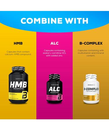 BioTechUSA Micellar Casein Protein Powder | Extended Absorbtion time | Gluten-Free and Fat-Free | Added L-Glutamine 2.27 kg Vanilla Vanilla 2.27kg - Buy Online on GoSupps.com