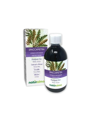 Mushroom fern (Ceterach Officinarum or Asplenium Ceterach) Leaves of non -alcoholic primeval tincture Natural Ma |Liquid extract drop 500 ml |Dietary supplement |Veganer alcohol -free 500 ml (1 Pack)