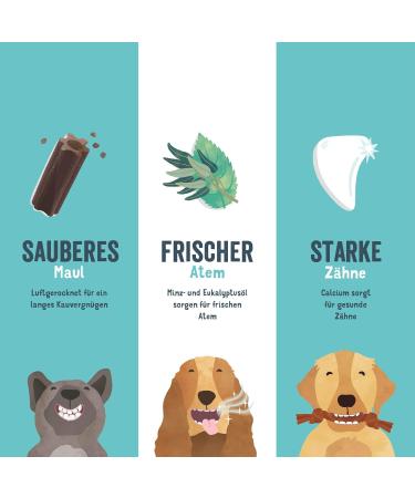 Edgard & Cooper Medium Dog Dental Sticks - Natural Eucalyptus & Apple Chews for Fresh Breath | Low Calorie Long Chewing Treats - Buy Online on GoSupps.com