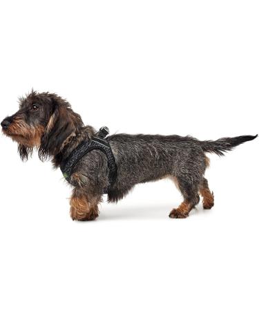 HUNTER Hilo Soft Comfort Harness XS-S - Grey Mesh for Dogs | Best International Shipping - Buy Online on GoSupps.com