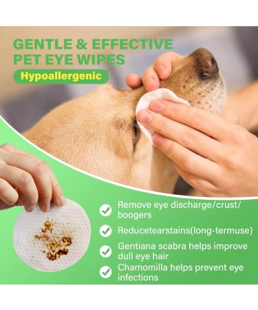 GJYC PET Large Eye Care: 120 Tear Stain Wipes for Dogs & Cats Effective Eye Wipes for Pets - Buy Online on GoSupps.com