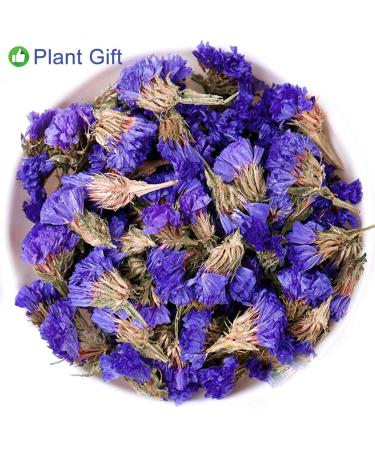 Buy Forget-Me-Not Flower Tea | Dried Myosotis Sylvatica | Herbal Health & Skin Care | 30g | International Shipping - Buy Online on GoSupps.com