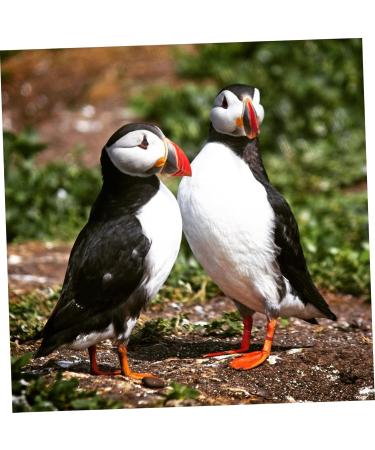 Beavorty 300 Pcs Pigeon Anklet Where Labels Bird Opening Feet Opening Pigeon Ring Plastic Clip Baby Poultry 1.3X1.3CMx3pcs Redx3pcs - Buy Online on GoSupps.com