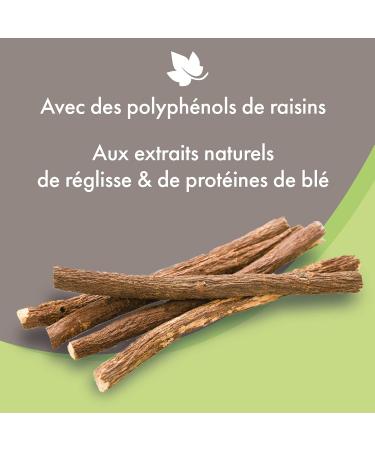 Beaphar High Cosmetic Dog Shampoo - 250ml for All Coat Types | International Shipping Available - Buy Online on GoSupps.com