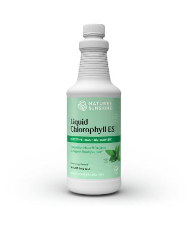 Nature's Sunshine Chlorophyll Liquid Extra Strength, 16 fl. oz, Kosher, Fresh Mint Chlorophyllin Assists Detoxification and Provides Intestinal and Digestive System Support