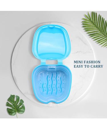 Buy Hefddehy Prostheses Suitcase - Travel Storage Box for False Teeth with Cup & Sieve - Ideal for Bath & On-the-Go - Buy Online on GoSupps.com