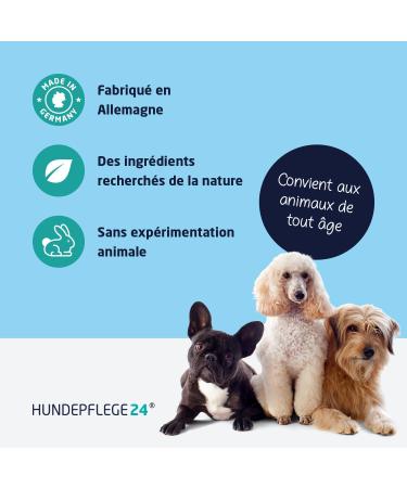 Anti-Itch Dog Shampoo 500ml - Helps Against Itching Mites Fleas & Fungal Infections - Natural Dog Shampoo + Antibacterial Cleaning and Care - Buy Online on GoSupps.com