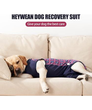 Heywean Dog Recovery Suit - After Op Castration Wound Protection for Dogs | Professional Medical Shirt | Marine Plaid | Large Size - Buy Online on GoSupps.com