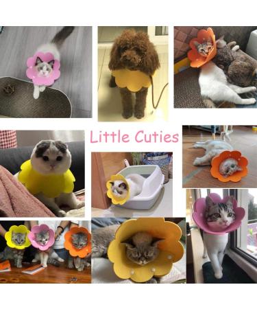 Lanyihome Cat Recovery Collar - Adjustable Cute Flower Neck Elizabethan Collars for Cats, Kittens, Puppies, Rabbits - Pack of 2 (Small Yellow+Pink) - Buy Online on GoSupps.com