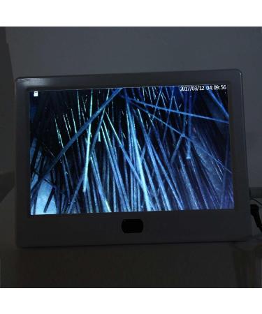 D tecteur de Peau de Cuir Chevelu D tecteur de Peau de Cheveux de 12 Pouces pour Analyse Al atoire du Cuir Chevelu des Cheveux D tecteur de Peau Num rique Testeur D'humidit Analyseur de(EU) - Buy Online on GoSupps.com