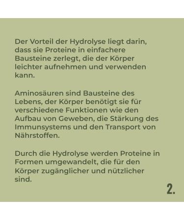  Hans HANS Brainfood Organic Fermented Pea Protein Powder ULTRA Creamy 90% Neutral 1 kg Creamy vegan protein powder with an optimal amino acid profile and high soluble content Powder - Buy Online on GoSupps.com