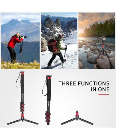 Avella A324D Aluminum 67 Inch Camera Monopod - Professional Telescopic Video Monopod with Tripod Base for DSLR Cameras - Buy Online on GoSupps.com