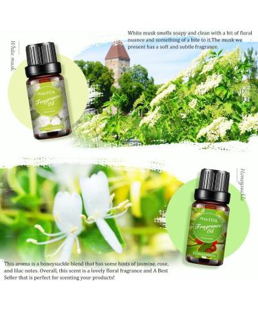 PHATOIL 6-Piece Floral Fragrance Oils Gift Set for Humidifier & Aromatherapy - White Musk, Parma Violet, Orange Blossom, Japanese Magnolia, Freesia, Honeysuckle - 6x10ml Essential Oils - Buy Online on GoSupps.com