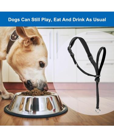 Adjustable Dog Halter with Padded Comfort & 120cm Nylon Rope for Training - Small to Large Dogs (Black) - Buy Online on GoSupps.com