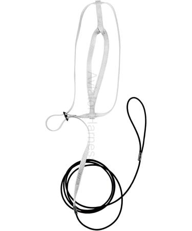 Buy The AVIATOR Pet Bird Harness & Leash - X-Large Silver | The Parrot University | International Shipping Available - Buy Online on GoSupps.com