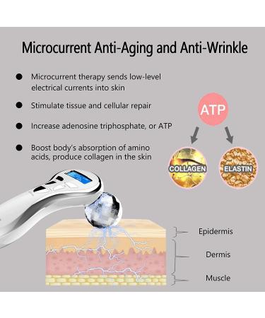 4D Microcurrent Face Massager Roller for Anti-Aging Wrinkle Reduction | Electric Rechargeable Face Lift Roller for Facial Massage on Arms and Legs - Buy Online on GoSupps.com