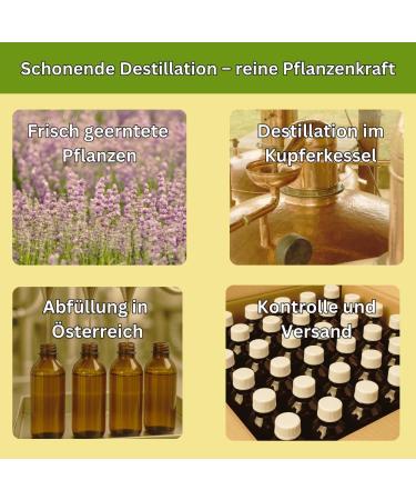  Nakobe Organic Sage Hydrosol and Organic Pine Hydrosol 2 250 ml With 1 Spray 100% Natural Organic Hydrolate For Skin Hair and Aromas Nakobe - Buy Online on GoSupps.com