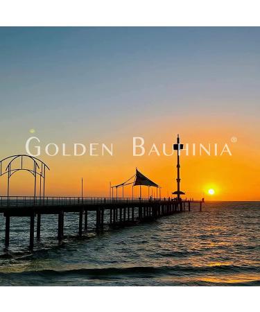 GoldenBauhinia Shower Steamers Aromatherapy - 16 Count Jasmine Shower Bombs for Stress Relief and Relaxation - Buy Online on GoSupps.com