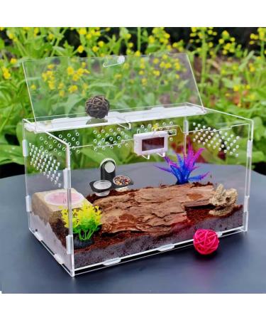 Jetisva 2pcs Reptile Water and Food Bowl Crested Gecko Feeding Ledge Plastic Suction Cup Reptile Water Dish Reptile Feeder for Lizard Chameleon Turtle Tortoise Snake Scorpion Centipede Fits Tank - Buy Online on GoSupps.com